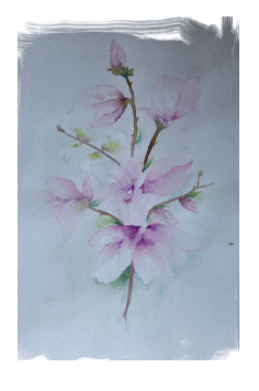 Aquarelle - Fleurs (Monique Dolimont)