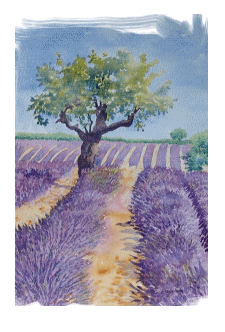 Provence (Emile Wouters)
