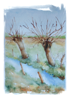 Aquarelle - "Bords de ruisseau" (Monique Dolimont)